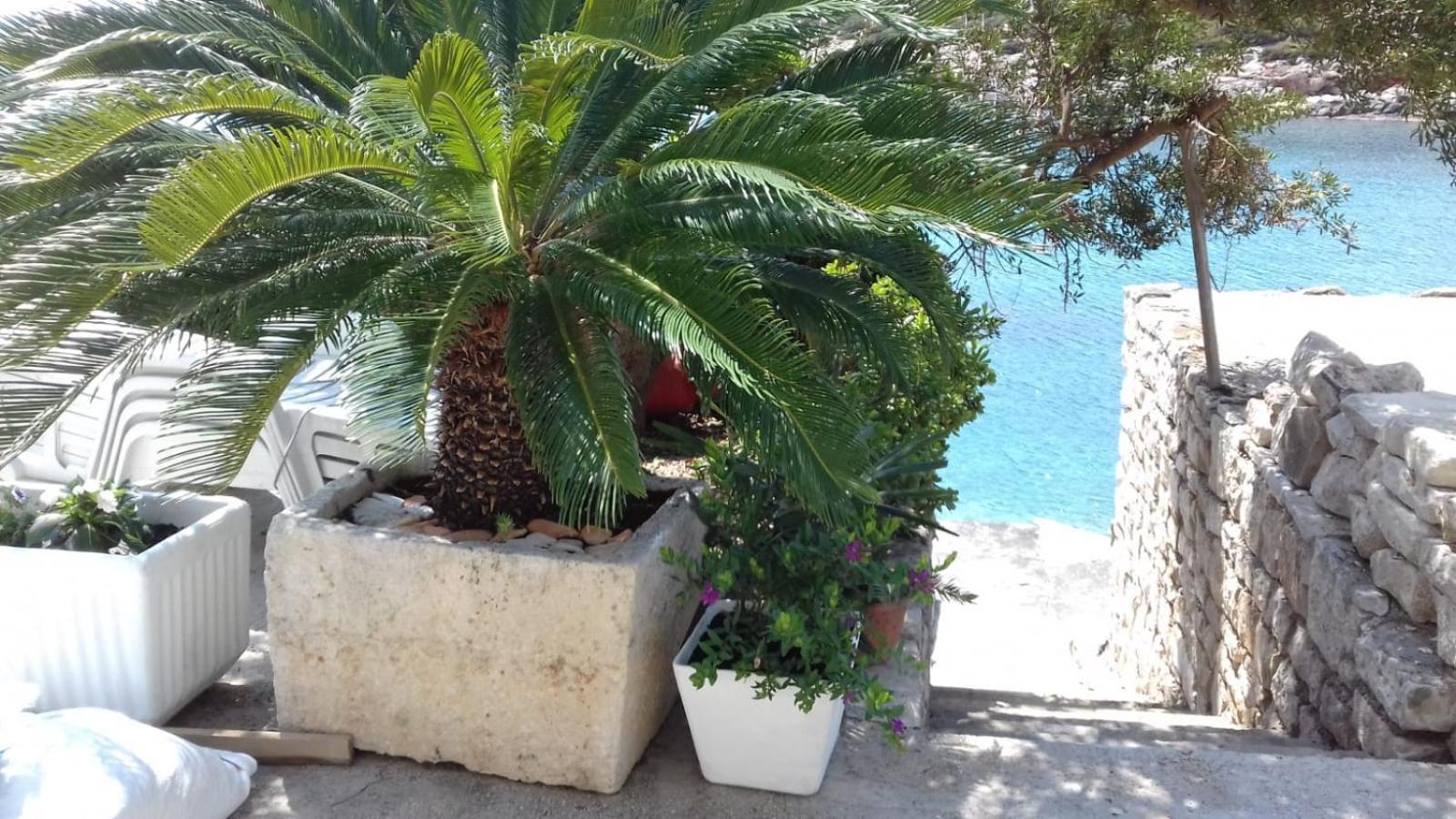 Apartmani Paulo Vis Extérieur photo